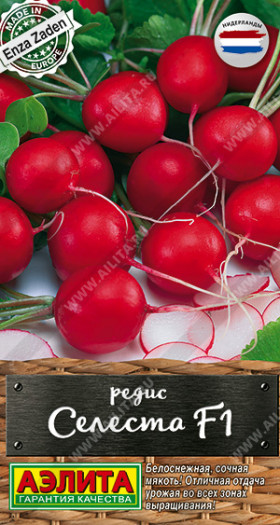 Селеста Ц(А)