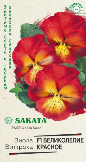 Великолепие красное Ц(Г)