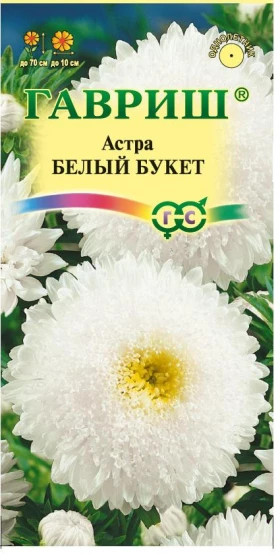 Белый Букет Ц(Г) астра