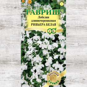 Ривьера Белая Ц(Г)