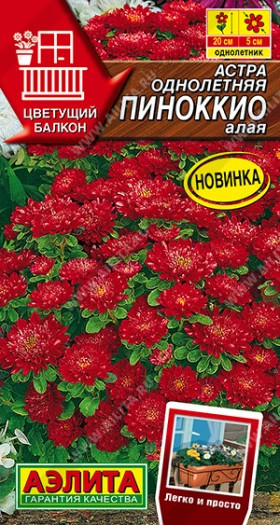 Пиноккио алая Ц(А)