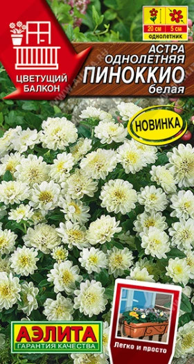 Пиноккио белая Ц(А)