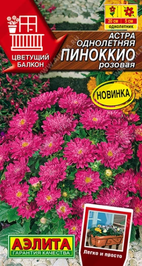 Пиноккио розовая Ц(А)