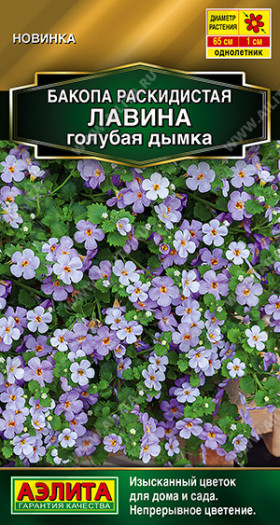 Лавина голубая дымка раскидистая Ц(А)