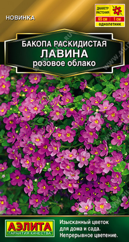Лавина розовое облако раскидистая Ц(А)