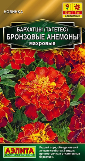 Бронзовые анемоны махровые Ц(А)