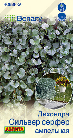 Сильвер серфер ампельная Ц(А)