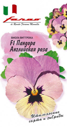 Пандора Английская Роза Ц(Г)