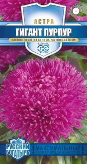 Гигант пурпур игольч.-когот. Ц(Г)