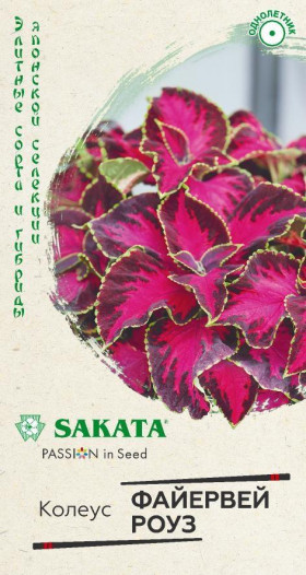 Файервей Роуз Ц(Г)