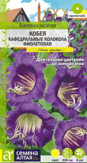 Кафедральные колокола фиолетовая 5шт Ц(Алт)