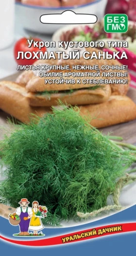Лохматый Санька Ц(УД)
