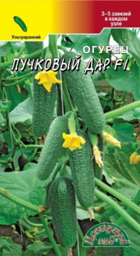 Пучковый дар Цветущий Сад