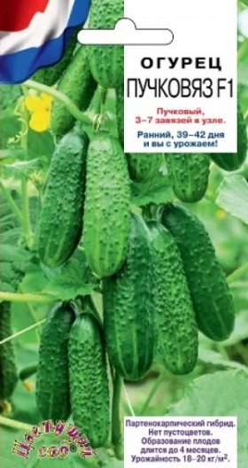 Пучковяз Цветущий Сад