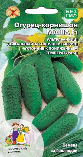 Маша корнишон Ц(УД)