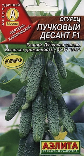 Пучковый десант F1 Ц(А)