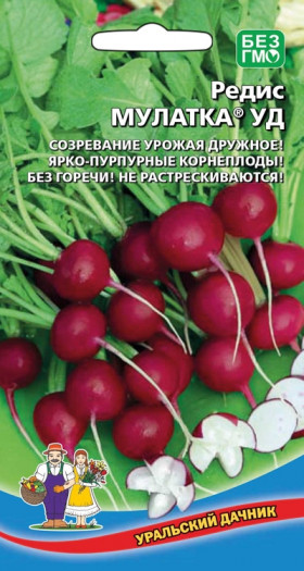 Мулатка Ц(УД)