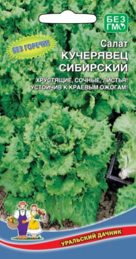 Кучерявец сибирский Ц(УД)