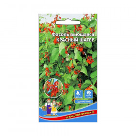 Красный шатер вьющаяся Ц(УД)