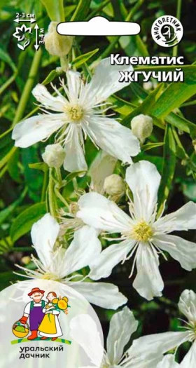 Жгучий Ц(УД)