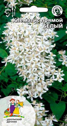 Белый прямой Ц(УД)