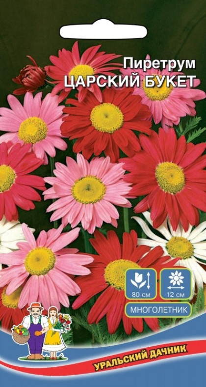 Царский букет Ц(УД)