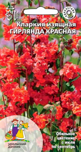 Гирлянда красная Ц(УД)