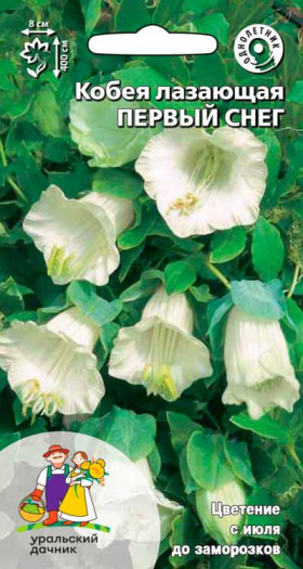 Первый снег Ц(УД)