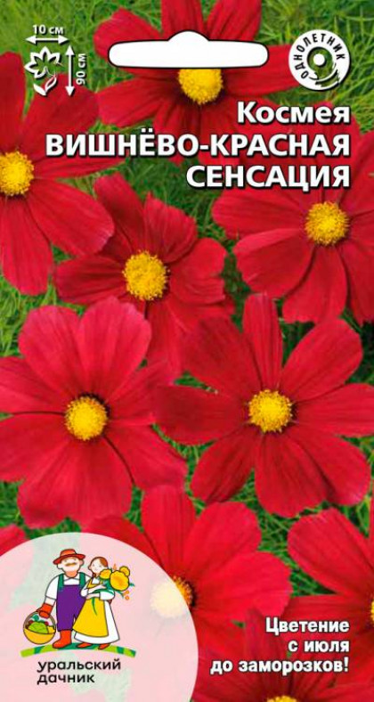 Вишнево-красная сенсация Ц(УД)