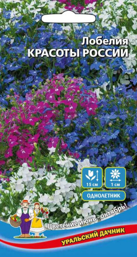 Красота России Ц(УД)