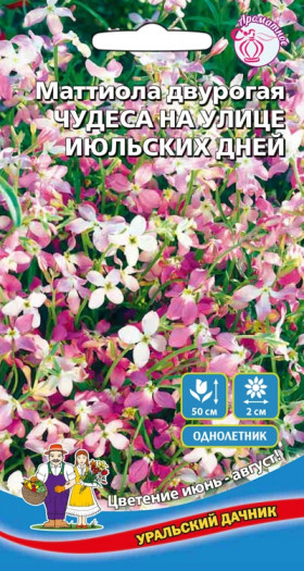 Чудеса на улице июльских дней Ц(УД)