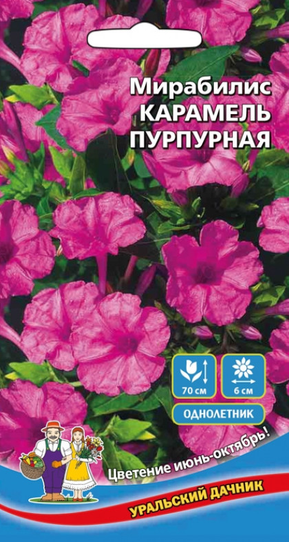 Карамель пурпурная Ц(УД)