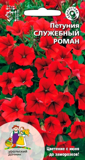 Служебный роман Ц(УД) петуния