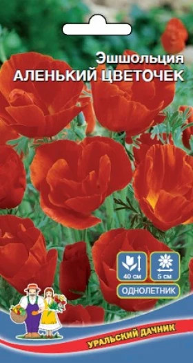 Аленький цветочек Ц(УД)