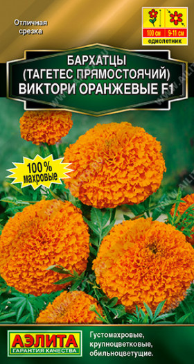 Виктори оранжевые Ц(А)