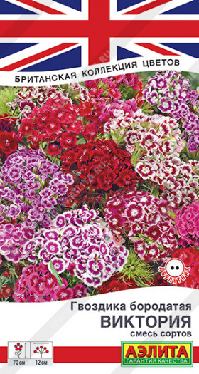 Виктория смесь Ц(А)