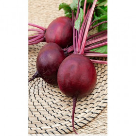 Бикорес 150шт /Элитные семена