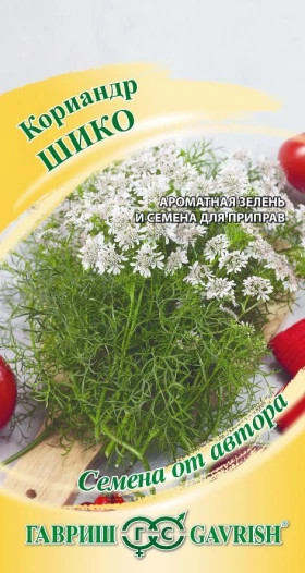 Шико 2гр. Ц(Г)