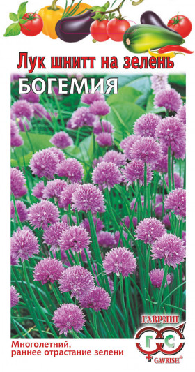 Шнитт Богемия Ц(Г)