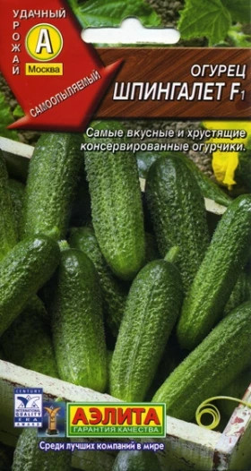 Шпингалет Ц(А)