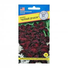 Черный дракон Ц(П)