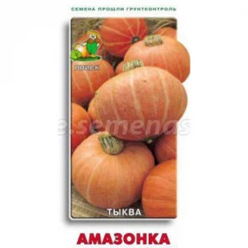 Амазонка Ц(Поиск)