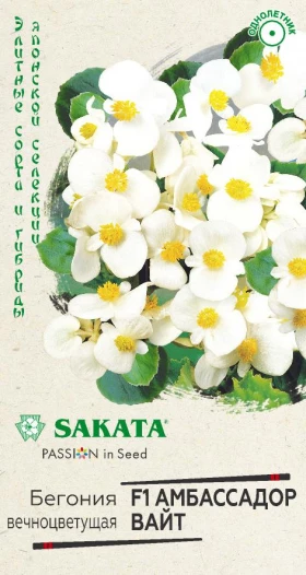 Амбассадор Вайт Ц(Г)