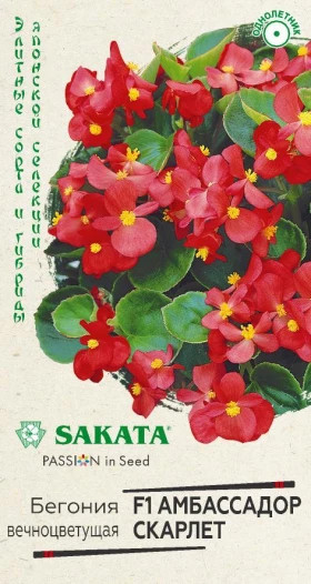 Амбассадор Скарлет Ц(Г)