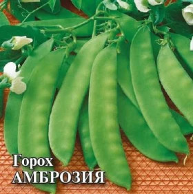 Амброзия 50 г\Гавриш