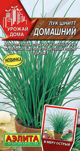 Шнитт Домашний Ц(А)