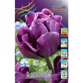 Аликанте (махр.поз.) 11-12, 10шт Поиск