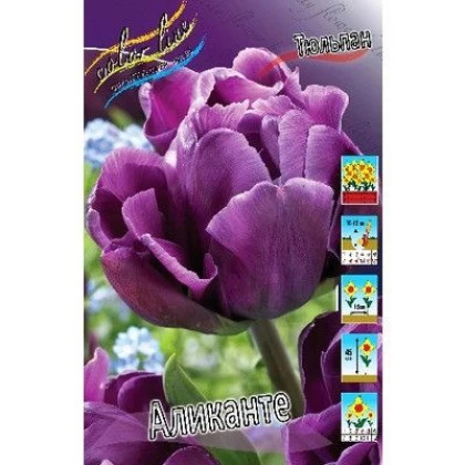 Аликанте (махр.поз.) 11-12, 10шт Поиск