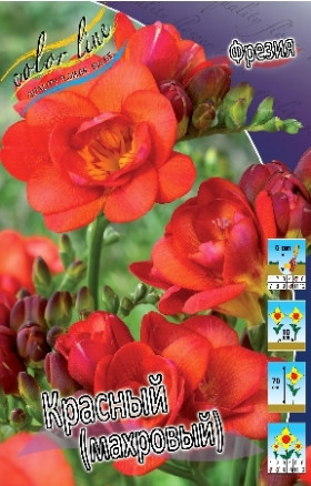 Красная (махр) 10шт