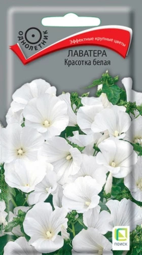 Красотка белая Ц(Поиск)